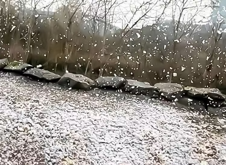 Màquina de Neu Exterior · Inflables Barcelona